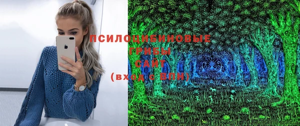 шишки Лиски