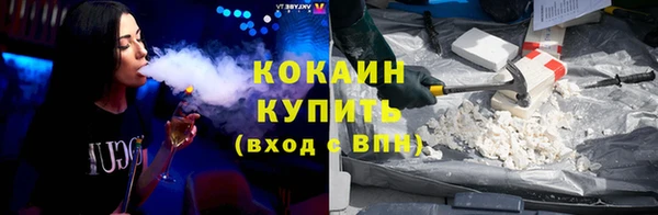 шишки Лиски