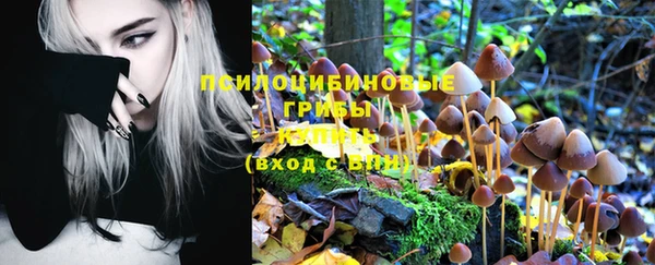 эйфоретик Лихославль