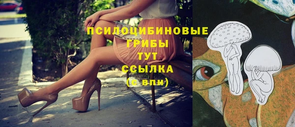 эйфоретик Лихославль