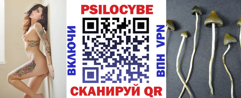Купить  Алдан  Псилоцибиновые грибы мицелий 